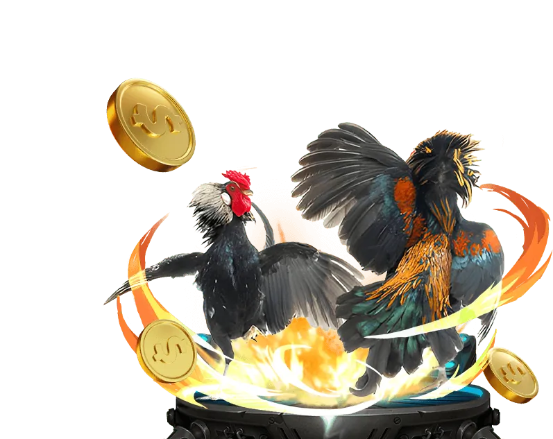 Hoàn Trả Cao Hơn